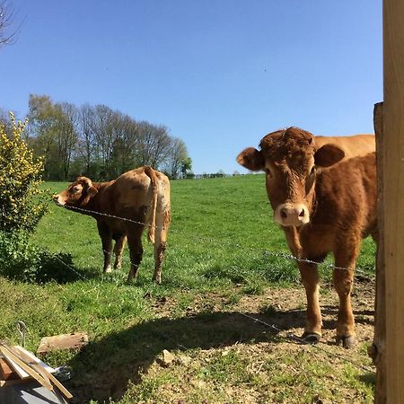 Vakantiewoning Kleijnen Noorbeek Kültér fotó