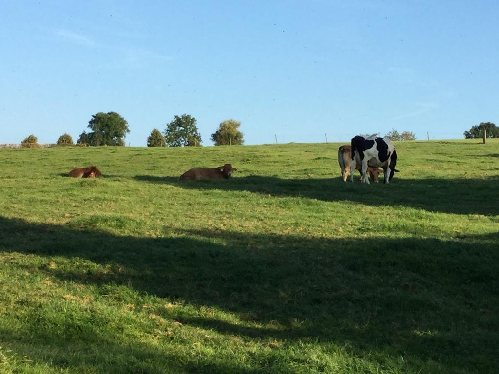 Vakantiewoning Kleijnen Noorbeek Kültér fotó